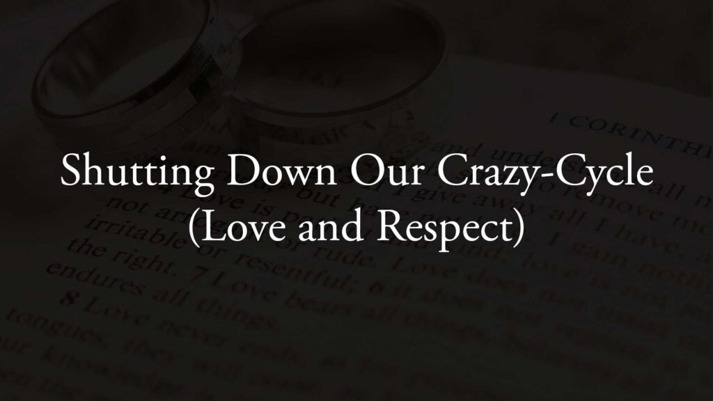 Shutting Down Our Crazy-Cycle (Love and Respect)